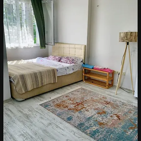 Bed and Breakfast Havalimanina 10 Dakika Uzaklikta Villa/oda+kahvalti Arnavutkoy